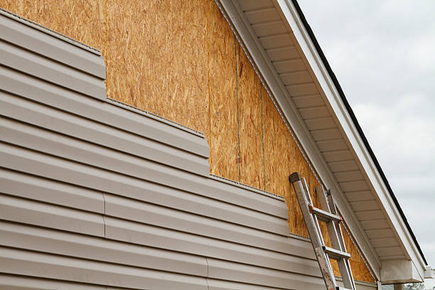 Professional Wood Siding technician working in Morrison, IL